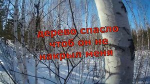 мотобуксировщик Forza 15-ШТУРМУЕМ ГОРУ#мотособака#мотобуксировщик