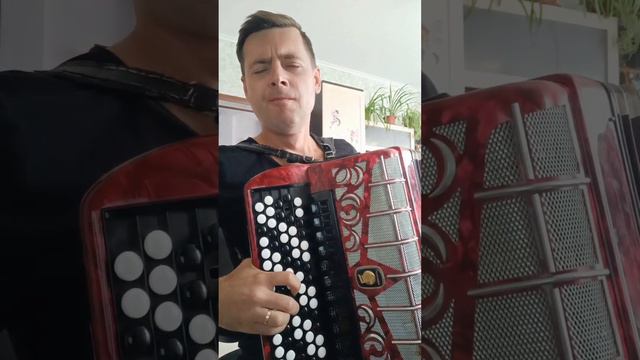 Metallica - The Unforgiven на баяне  cover рекомендации