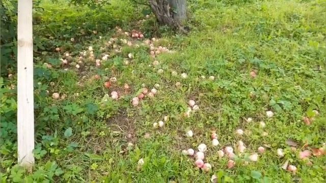 Мой путь к стройности. Добавим физические нагрузки.