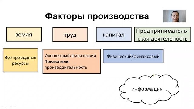 ОГЭ 2020, раздел "Экономика", часть 1 смотреть онлайн