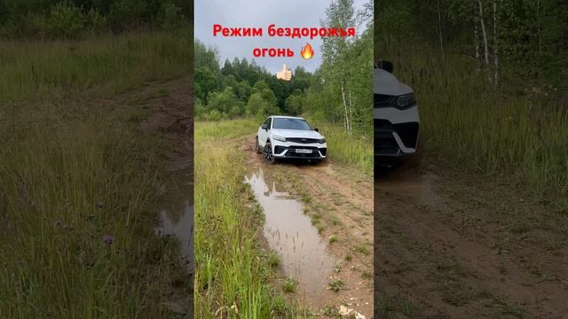 Geely Tugella очень нравится режим бездорожья