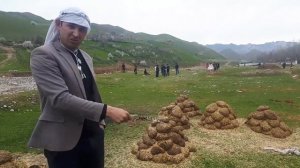 Шайх Дон жуан тапак+ Саргин=Пору