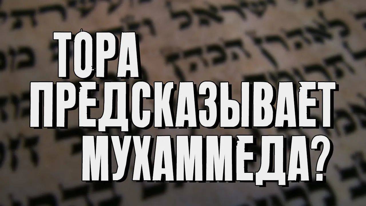 Тора предсказывает Мухаммеда? | Раввин Михаил Финкель