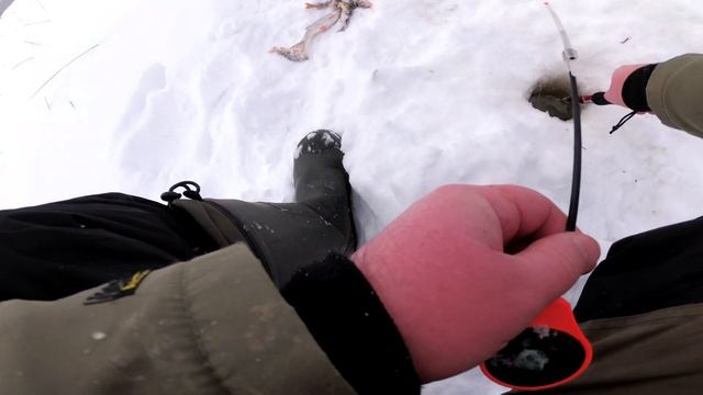 Ивановские торфяники. Рыбалка 21.02.21.