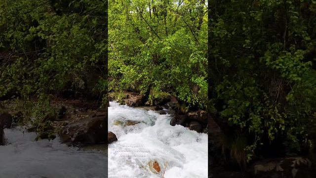 Экскурсия к Джамагатским нарзанам в дождь.