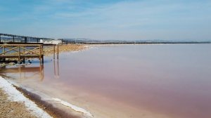 Las Salinas de Torrevieja