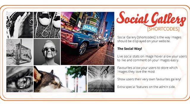 Social Gallery Shortcodes WordPress Plugin | Codecanyon Scripts and Snippets смотреть онлайн