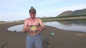 Снова Потрошилово