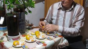 Дегустация мандарина с подоконника.Харьков