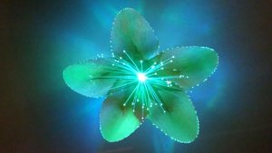 Светящаяся плюмерия зеленая. Светящийся цветок