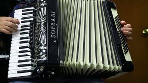 FLY ME TO THE MOON - ACCORDION & FLUTE POPULAR SONGS