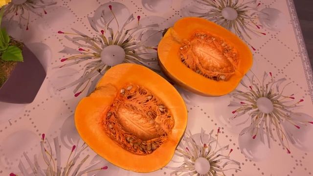 Тыква польза и вред. Чем полезны тыквенные семечки?
