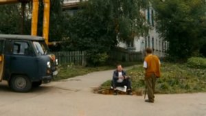 дятлы дорог