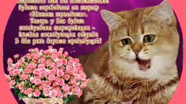 Title.С праздником смеха! смотреть онлайн