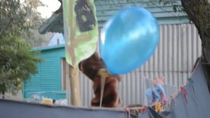 Сказки на ночь. Винни Пух, Пятачок и пчелы