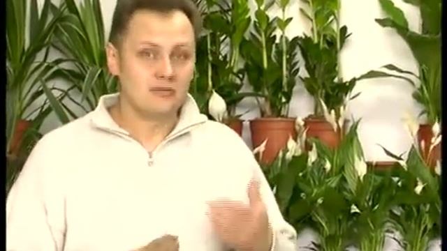 Агрошкола "Как правильно посадить картофель" смотреть онлайн