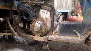 Муравей завожу после 2х лет простоя .