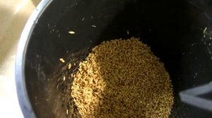 Проращивание зерна на самодельной установке - пошаговая инструкция.