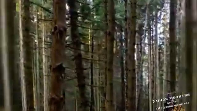 Наблюдаете ли Вы помыслы_.mp4 смотреть онлайн