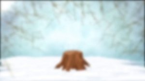 Mickey Mouse, Dinosaurs & Angry Birds Finger Family Nursery Rhymes Songs Collection