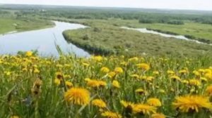 Бежин луг И.С.Тургенев