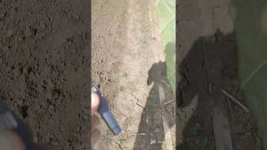 мотоблок weima 900m3. стоит ли покупать или нет