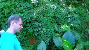 Прогулка на слонах ( Клип )