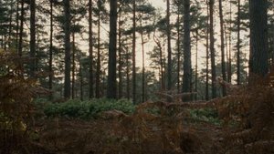 Sherlock Holmes: A Game of Shadows/Best scene/Guy Ritchie/Robert Downey Jr/Jude Law/Noomi Rapace