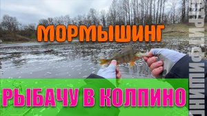 #23 Рыбалка на Пруду и Микроречке в Колпино #мормышинг