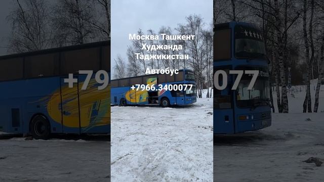 Москва худжанд таджикистан автобус#short