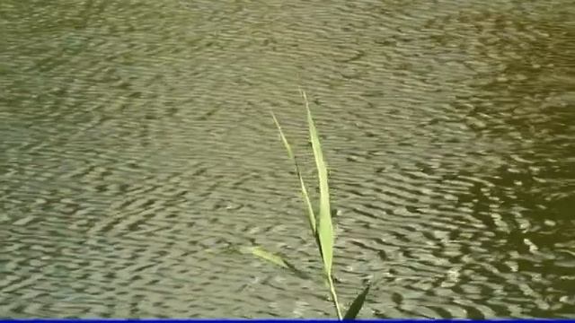 Работы приостановлены смотреть онлайн