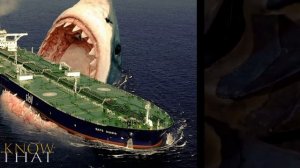 Самый большой хищник / Мегалодон