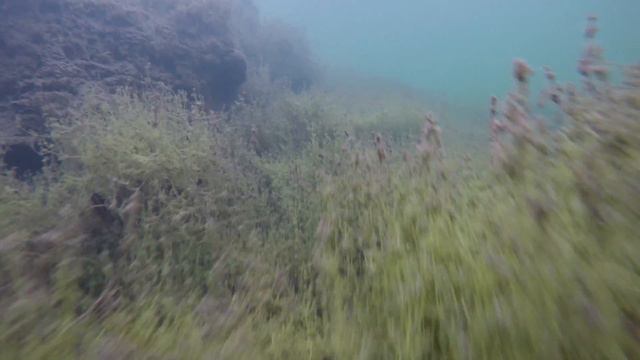 Шингарка Осенью 16.10.2016