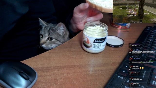 Гайд: Паста креветочная (с авакадо) смотреть онлайн