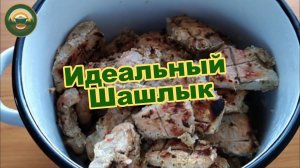 Шашлык готовит сибиряк. Вкусный нежный шашлык.