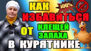 Нашла РЕШЕНИЕ, как избавиться от запаха, клещей... в курятнике