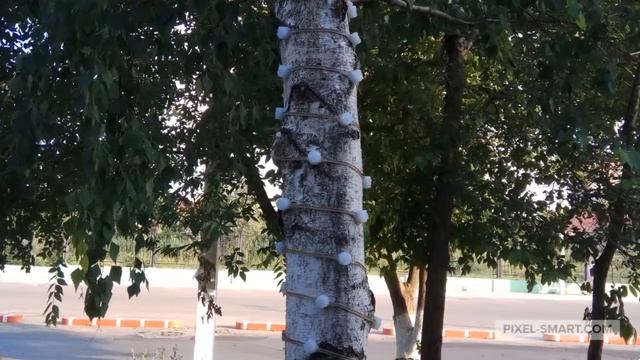 Ландшафтно-декоративный модуль D=19, IP68 смотреть онлайн