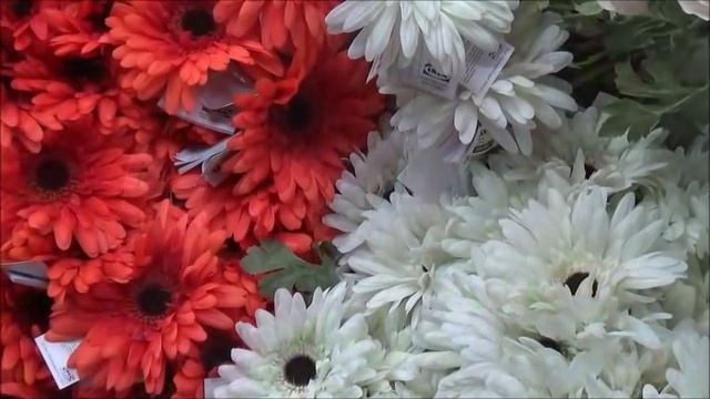 ИКЕА. Искусственные цветы. Распродажа. Покупки. смотреть онлайн