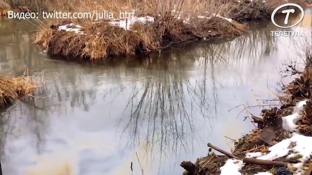 Станки негритянок покрыты маслом