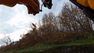 Лучший воблер по микроречке Jackall Tiny Magallon Твичинг в ноябре. Рыбалка на щуку осенью. Клевень