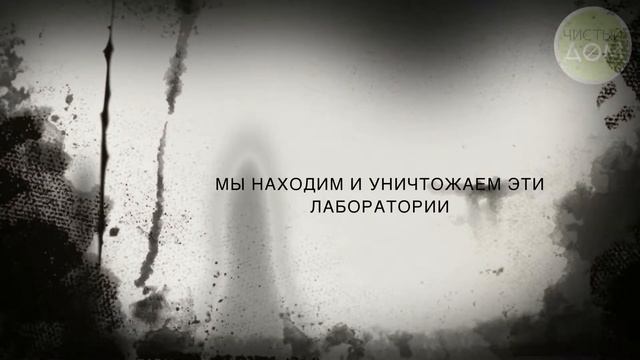 Где выращивают тараканов | Санобработка смотреть онлайн