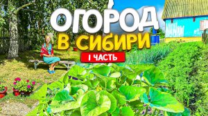 Как вырастить ВКУСНЕЙШИЕ помидоры? Как пасынковать помидоры? Теплые грядки для огурцов.