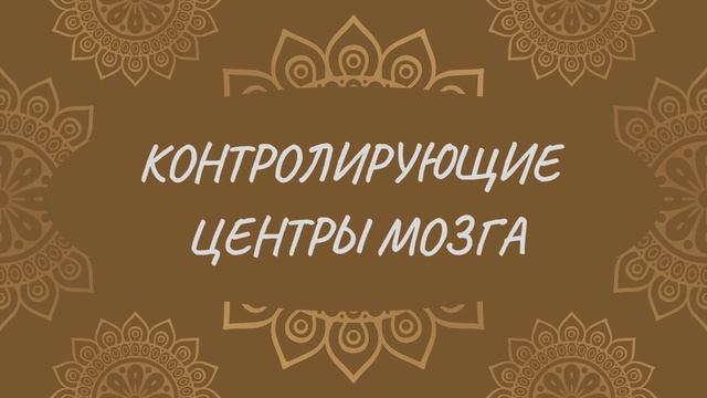 Контролирующие центры мозга | Йога Нидра