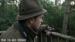 Охота На Благородного Оленя. Венгрия 2022!? Red Deer Hunting. Hungary 2022!?