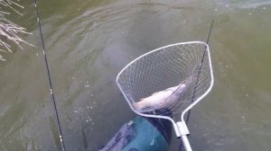 рыбалка с лодки на Дону, сезон 2022, личный рекорд по сазану 6200