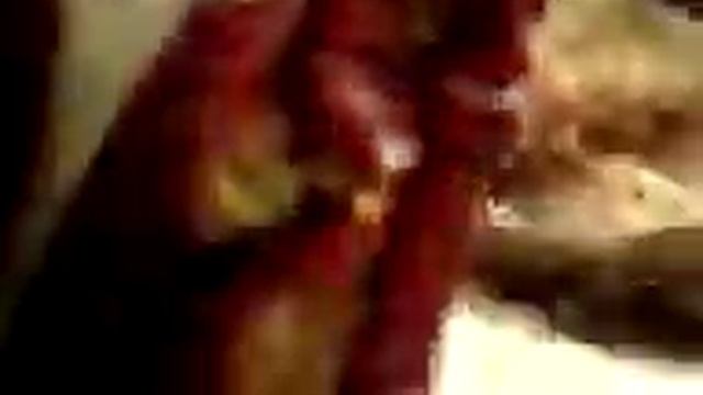 Вяленые Острые перцы 2 смотреть онлайн