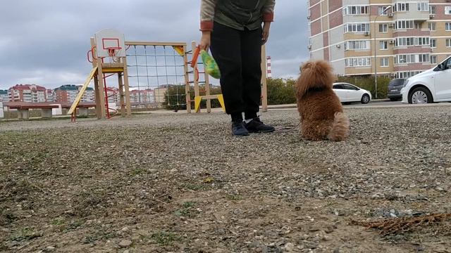 16 ноября 2022 г. смотреть онлайн