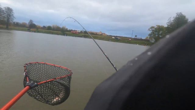 Осенняя Troutmania. День 1-й