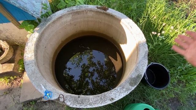 Мы купили дачу! №9. Первый дачный урожай #урожай #дача #семья смотреть онлайн