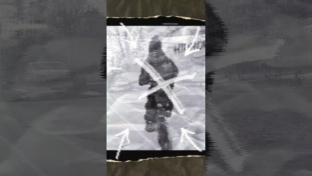 Maxiscoo 16. Тестируем детский велосипед